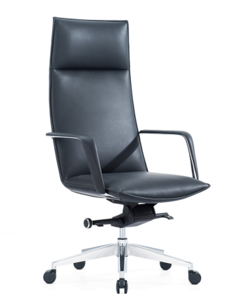 Scaun Directorial Carlo Negru