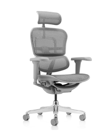 Scaun de Birou Ergohuman 2 Ultra cu Tetieră, Cadru Gri, Mesh White, Bază Alu